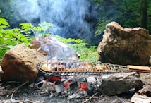 A barbecue grill filled with food is placed over a bed of glowing embers surrounded by rocks. Smoke rises into the air, blending with the lush green foliage in the background. The scene suggests an outdoor cooking activity, possibly in a forest or garden setting.