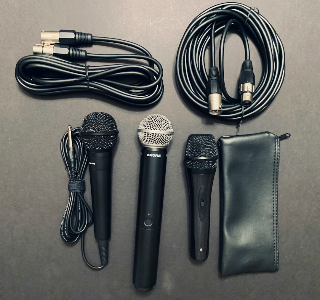 three microphones near black pouch and black audio cables