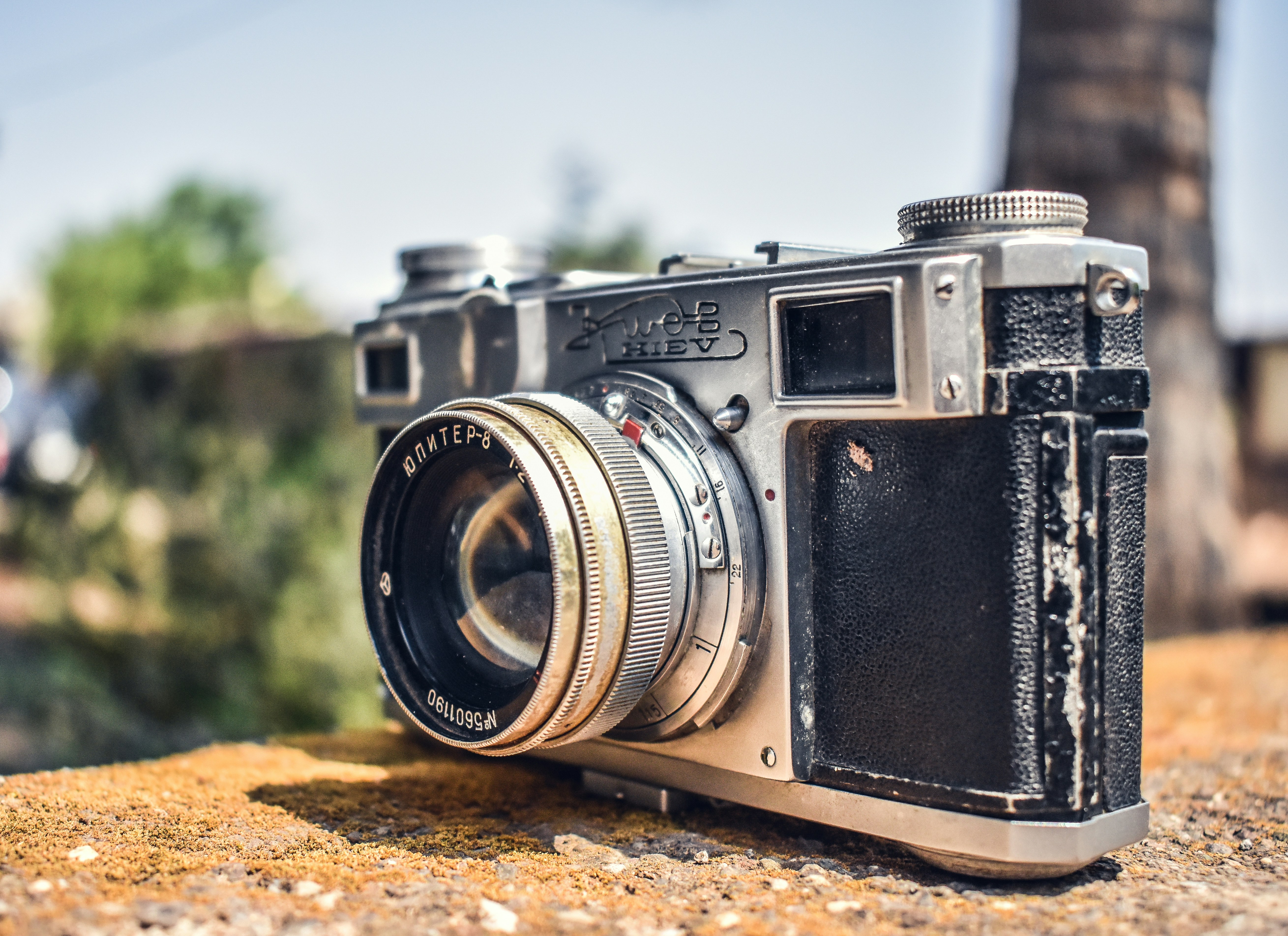 Photo by dynamicshots