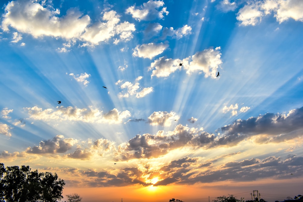 crepuscular rays