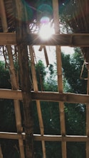 Sunlight filters through a bamboo roof, casting beams of light and creating a warm atmosphere. The structure is made of uneven bamboo slats, allowing a view of green foliage and the bright sky beyond.