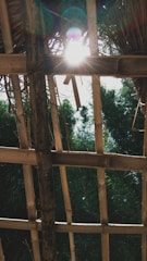 Sunlight filters through a bamboo roof, casting beams of light and creating a warm atmosphere. The structure is made of uneven bamboo slats, allowing a view of green foliage and the bright sky beyond.