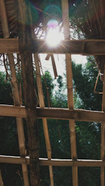 Handwoven bamboo blinds softly filtering sunlight into a cozy room.