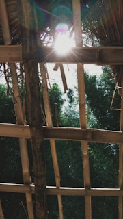 Sunlight filters through a bamboo roof, casting beams of light and creating a warm atmosphere. The structure is made of uneven bamboo slats, allowing a view of green foliage and the bright sky beyond.