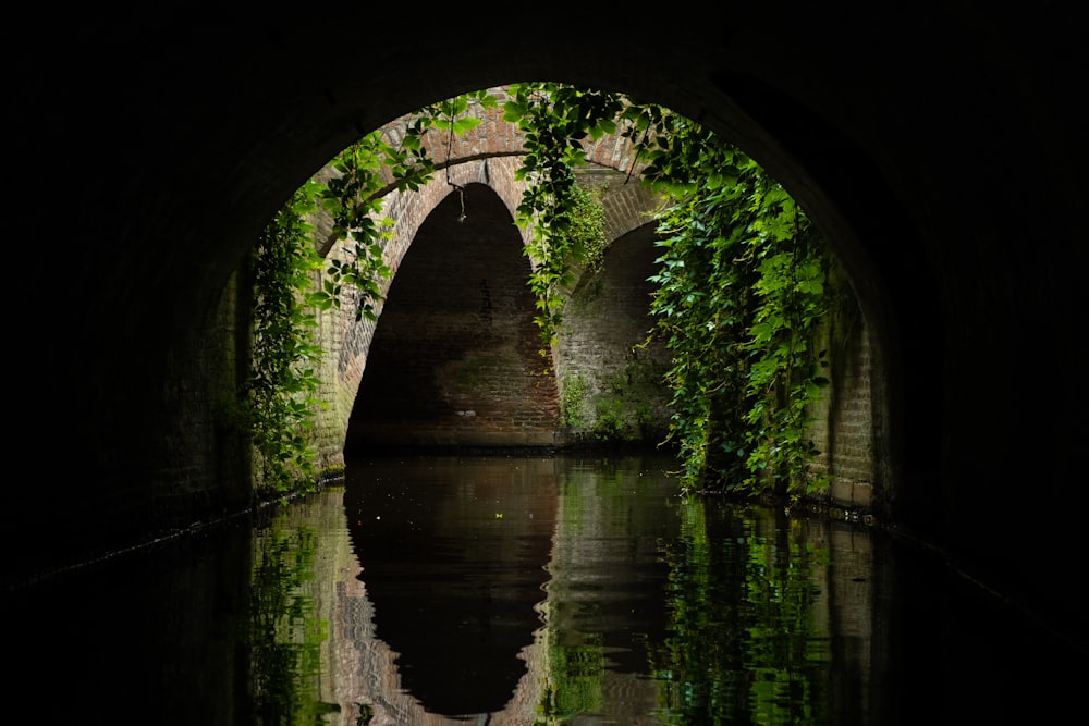 Fotografía de puentes