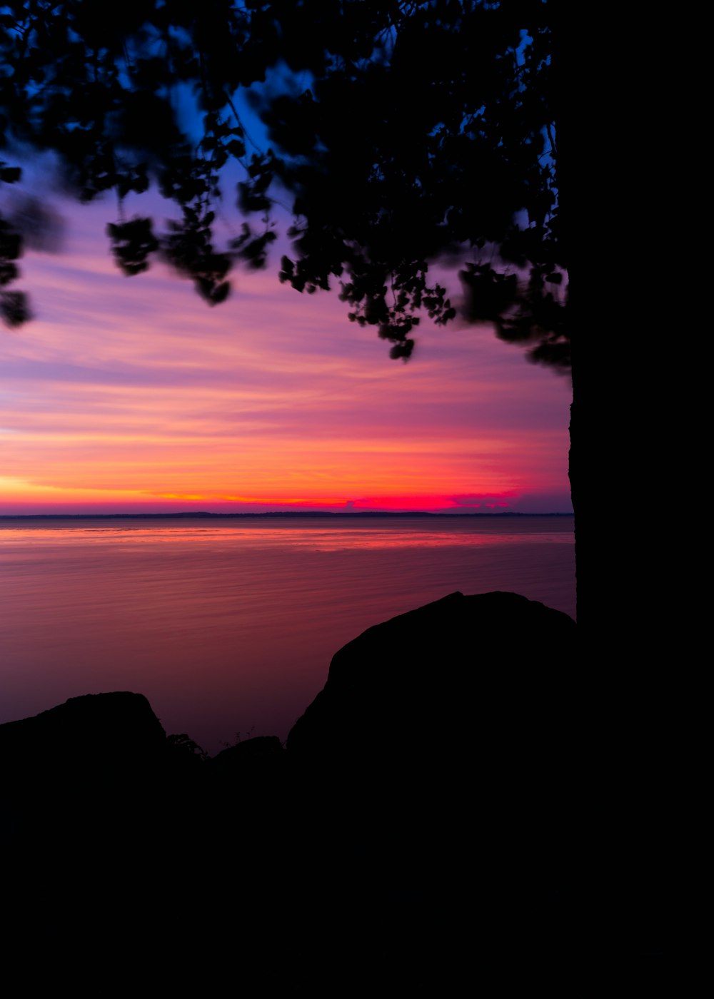 silhouette of tree beside body of water during golden hour