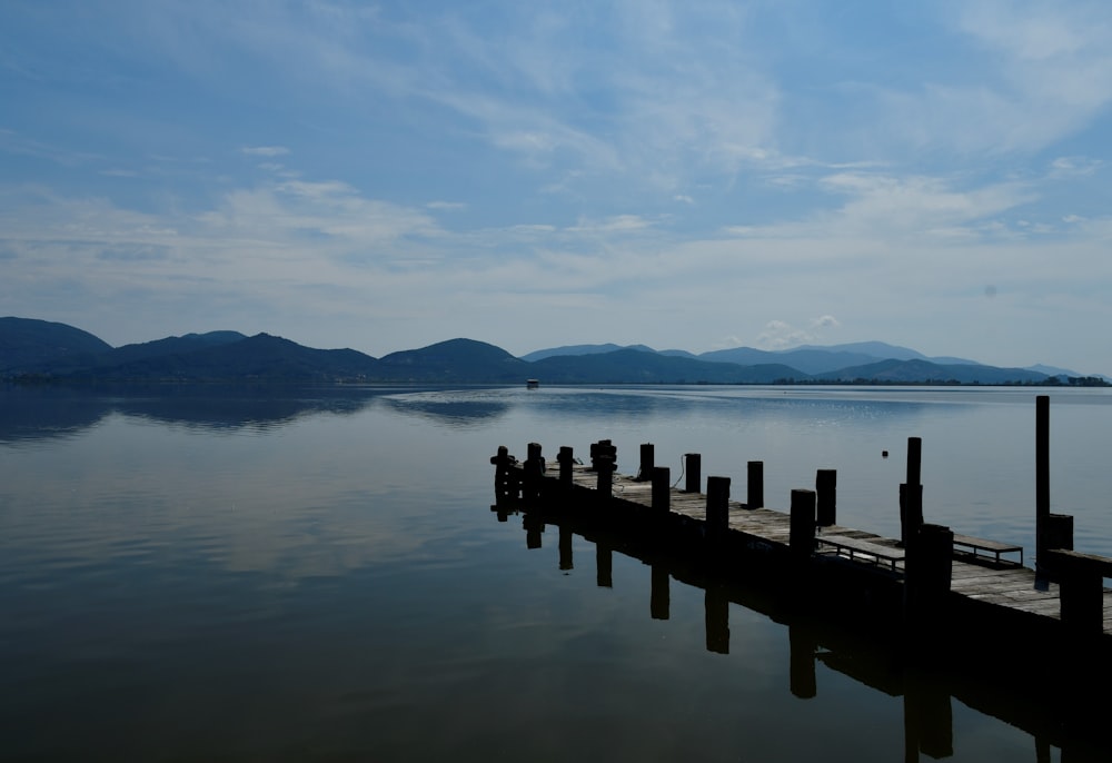 muelle de madera marrón