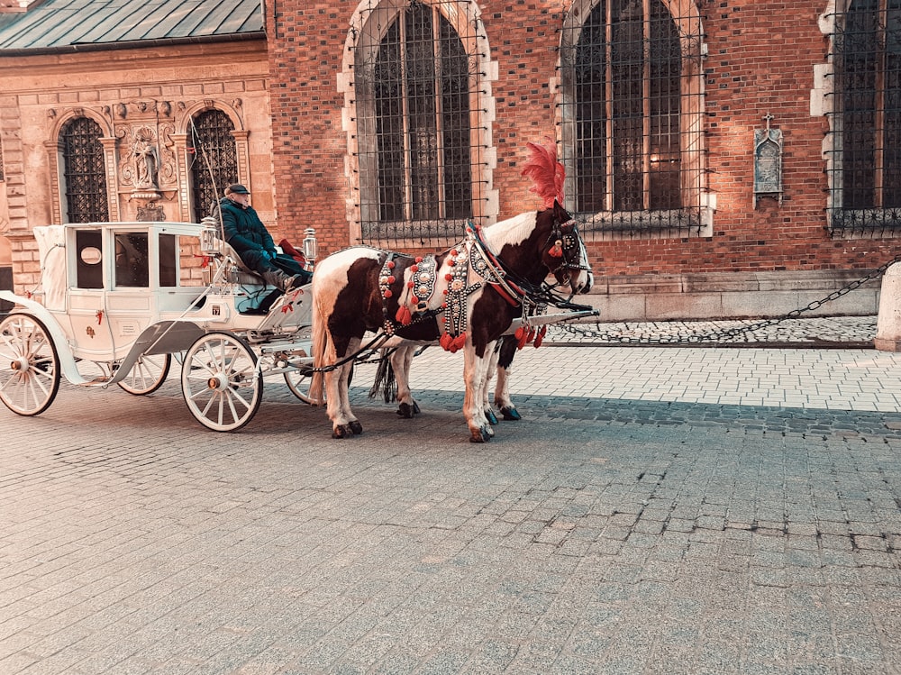 man riding white and brown carriage near brown concrete building