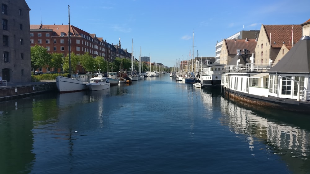 Mehrere Boote am Flussufer