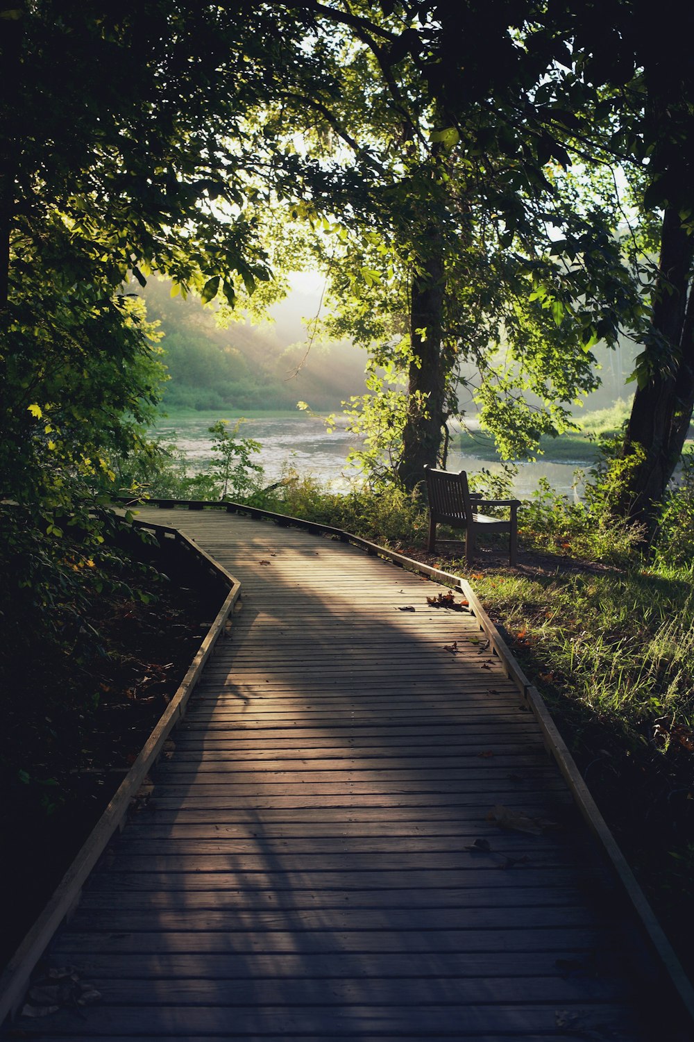 gray wooden pathway surrounded with tall and green trees viewing lake