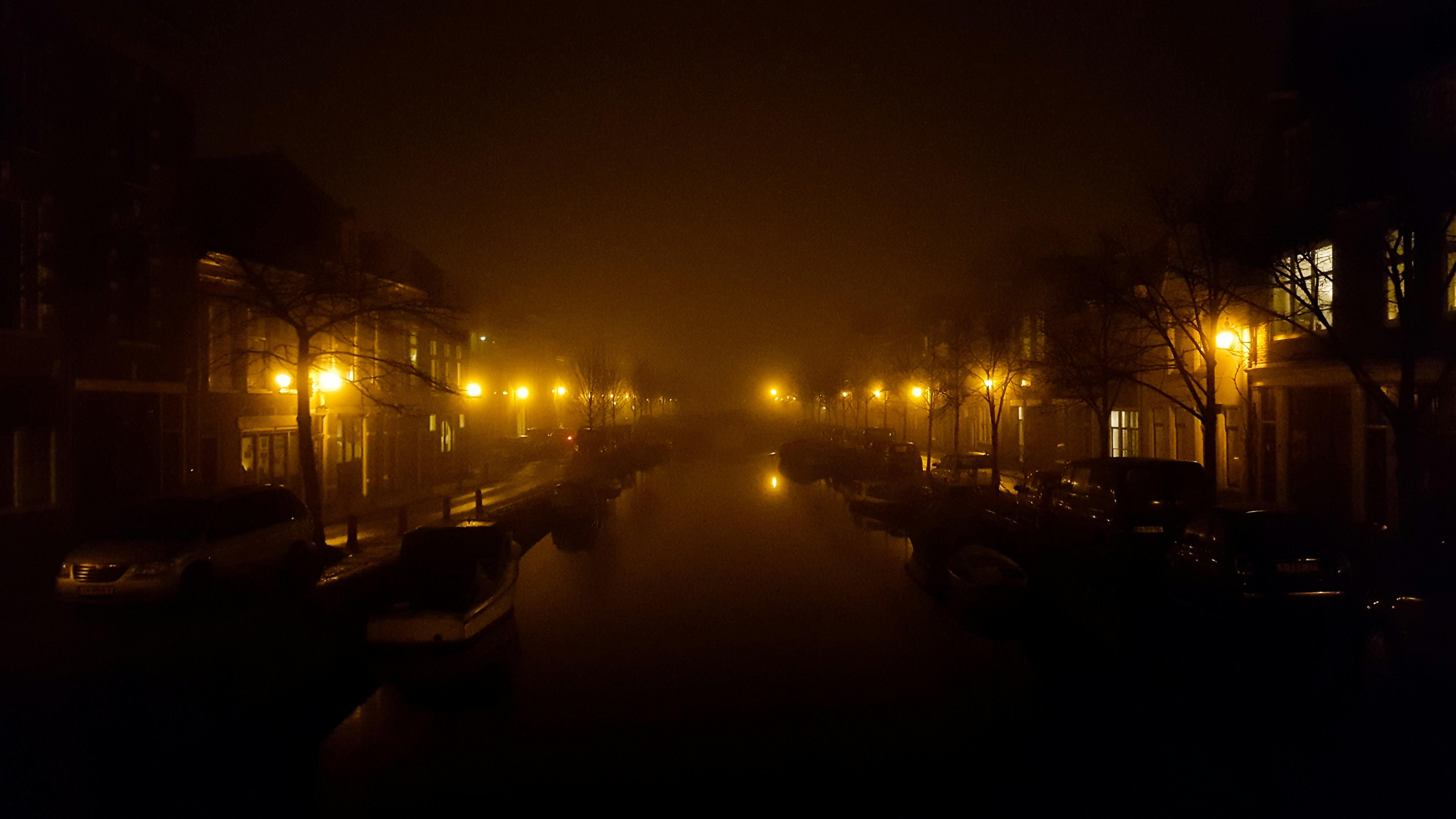 Fog covers a canal in Haarlem, Netherlands