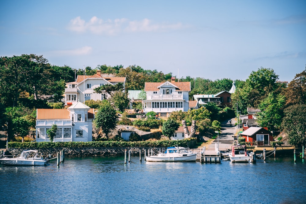 white and brown houses