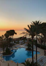 blue outdoor swimming pool at sunset