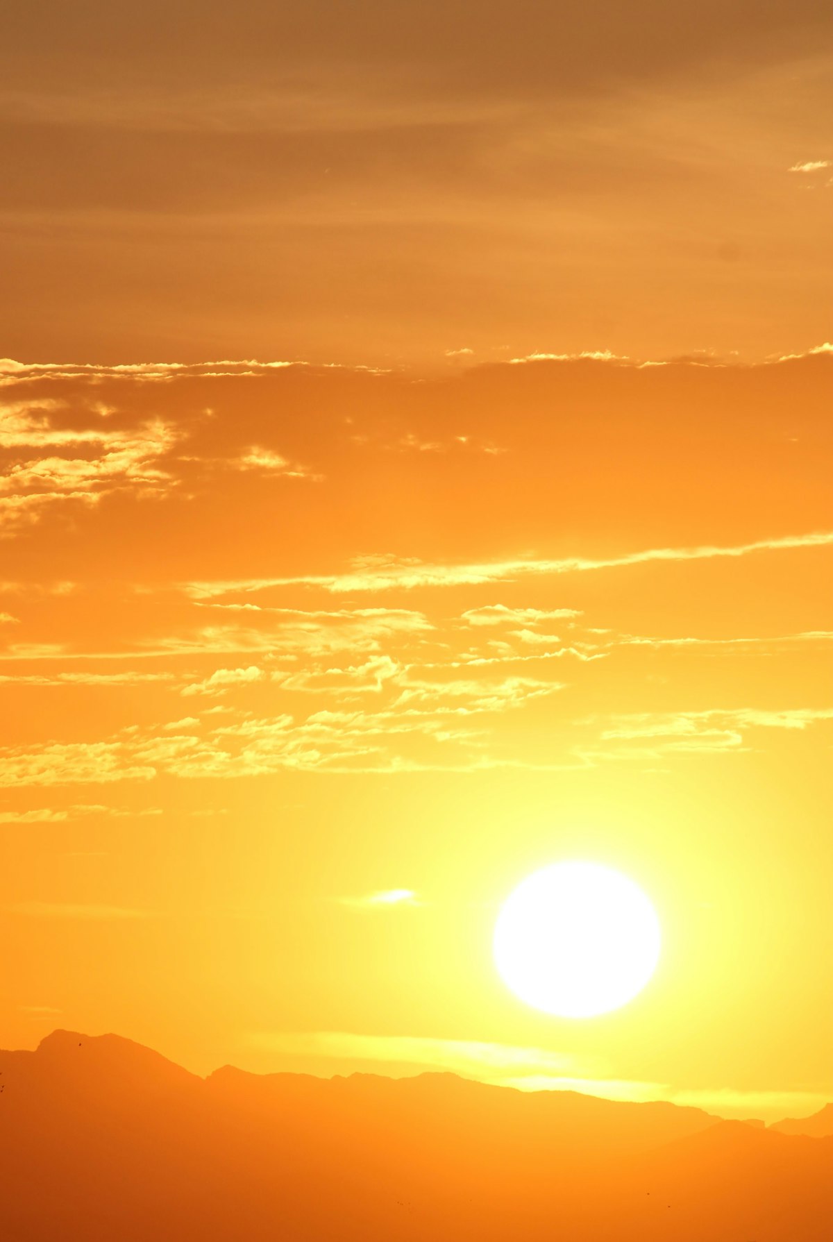 Sunlight: most vitamin D is made by the skin