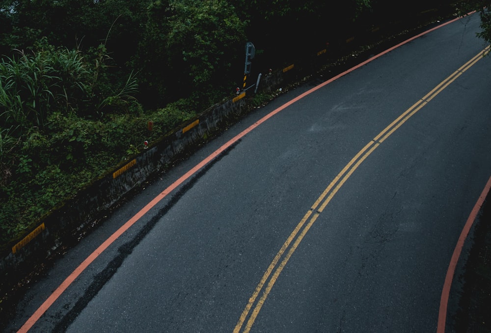 gray concrete road beside trees