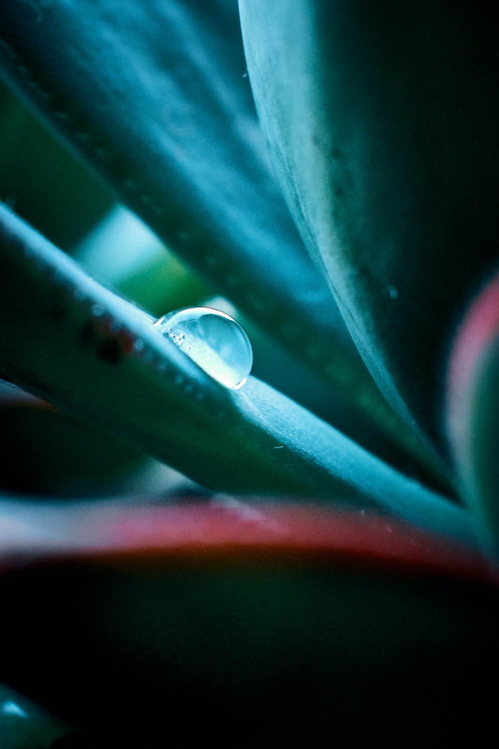 teal textile with water droplet