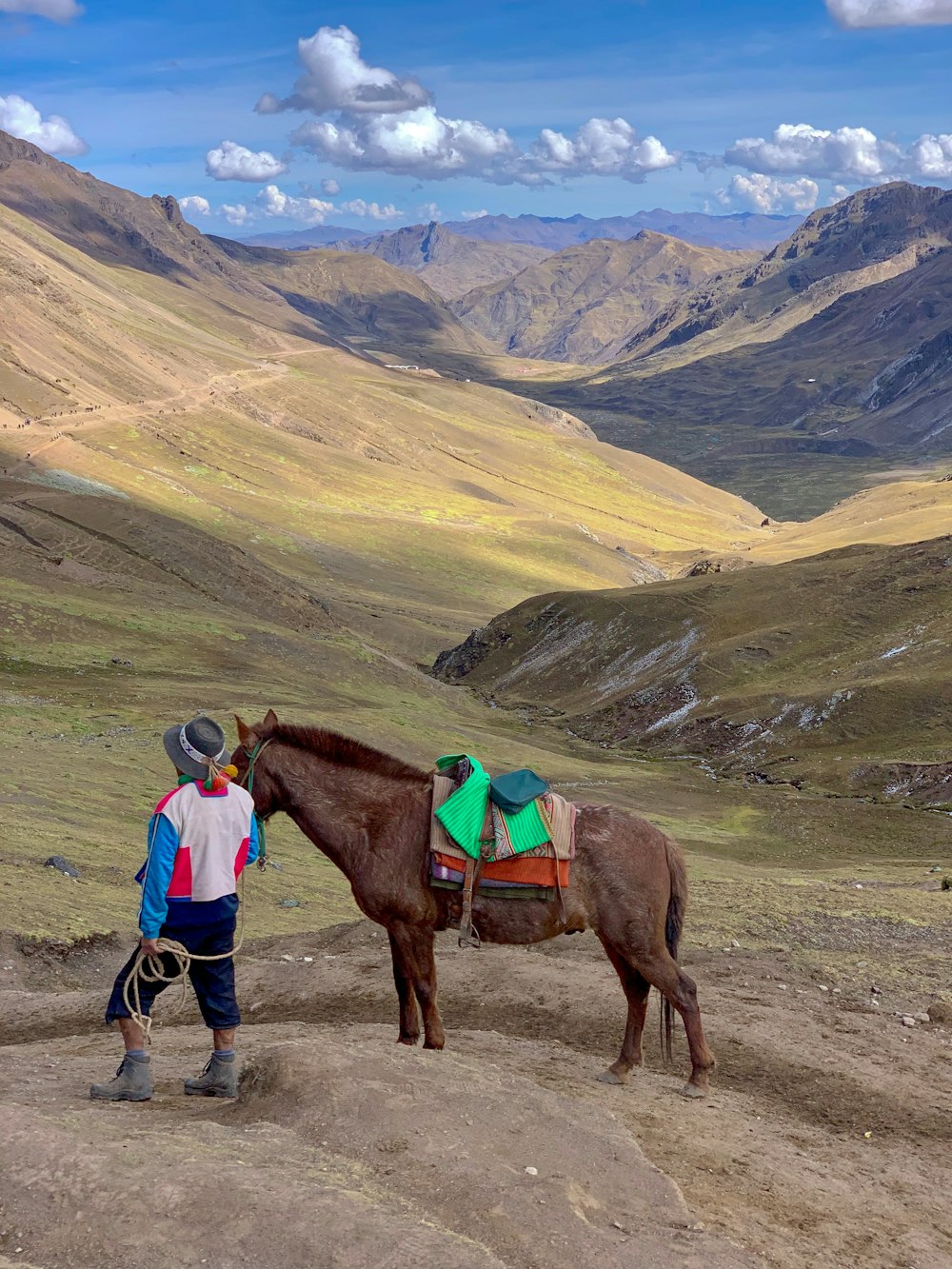 man standing beside horse in a valley