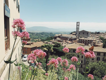 A scenic view of a charming European town with colorful buildings and cobblestone streets.