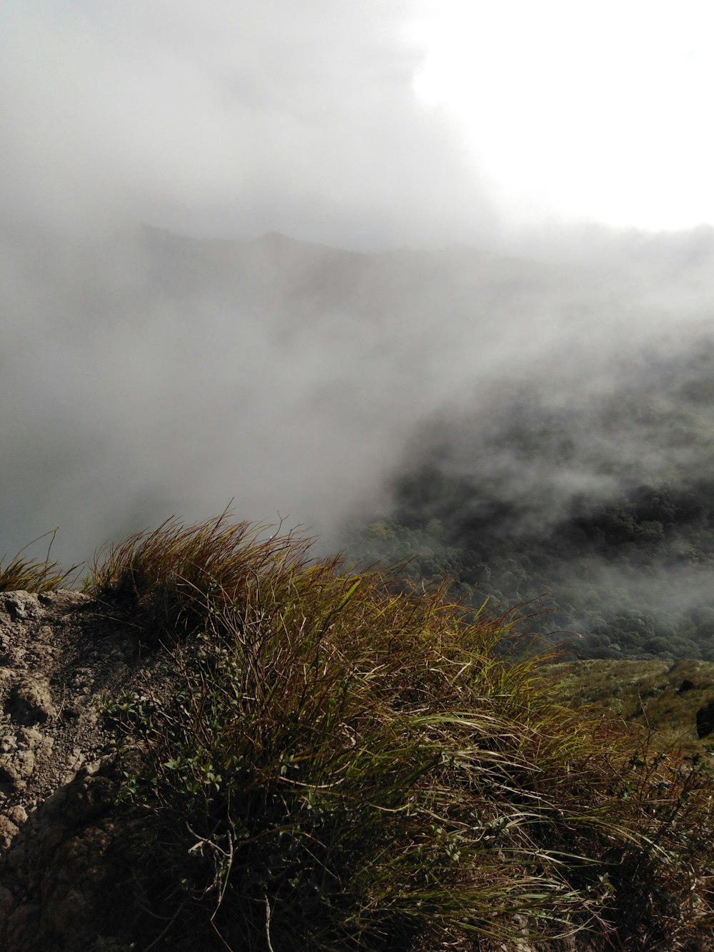 a man standing on top of a mountain next to a lush green hillside