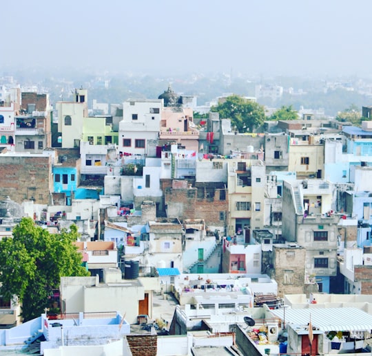 white concrete buildings in Udaipur India