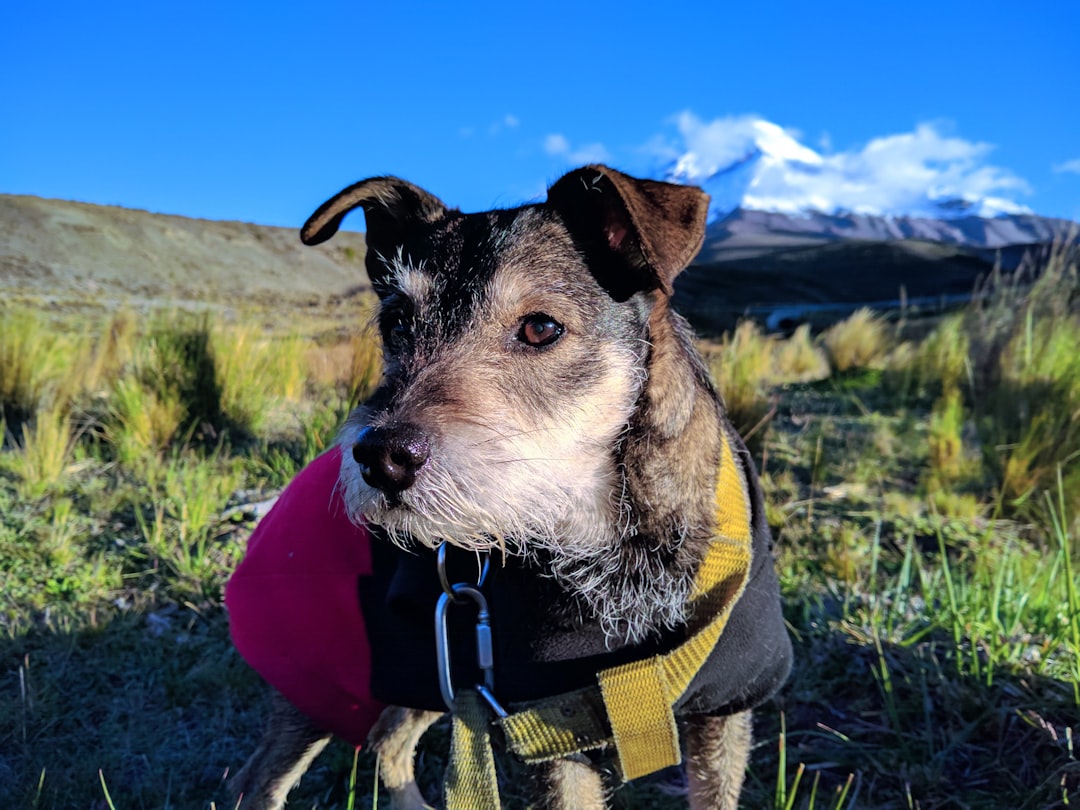 Travel Tips and Stories of Laguna Quilotoa in Ecuador