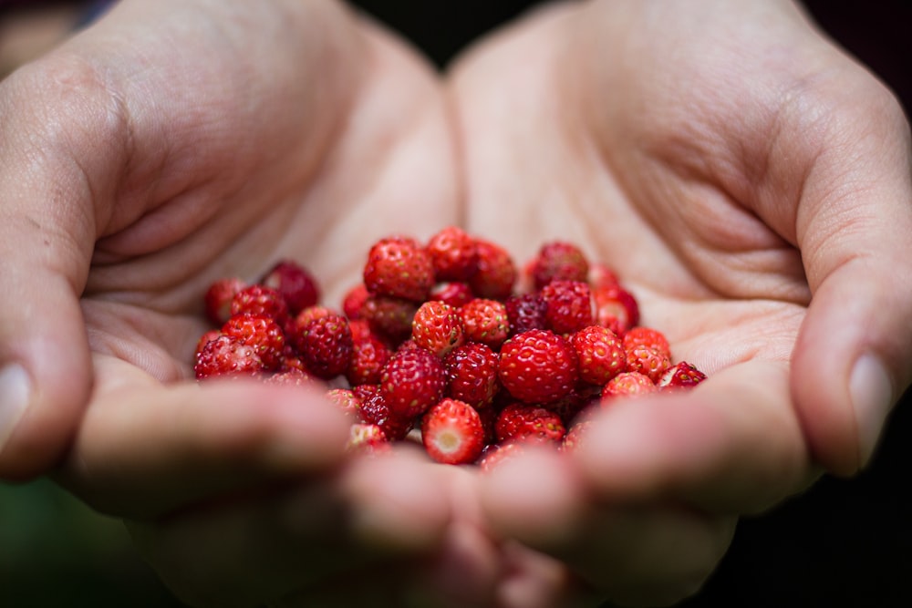 strawberries