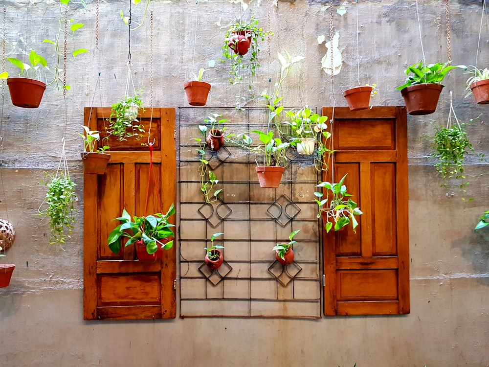 assorted-color plants hanging on planter