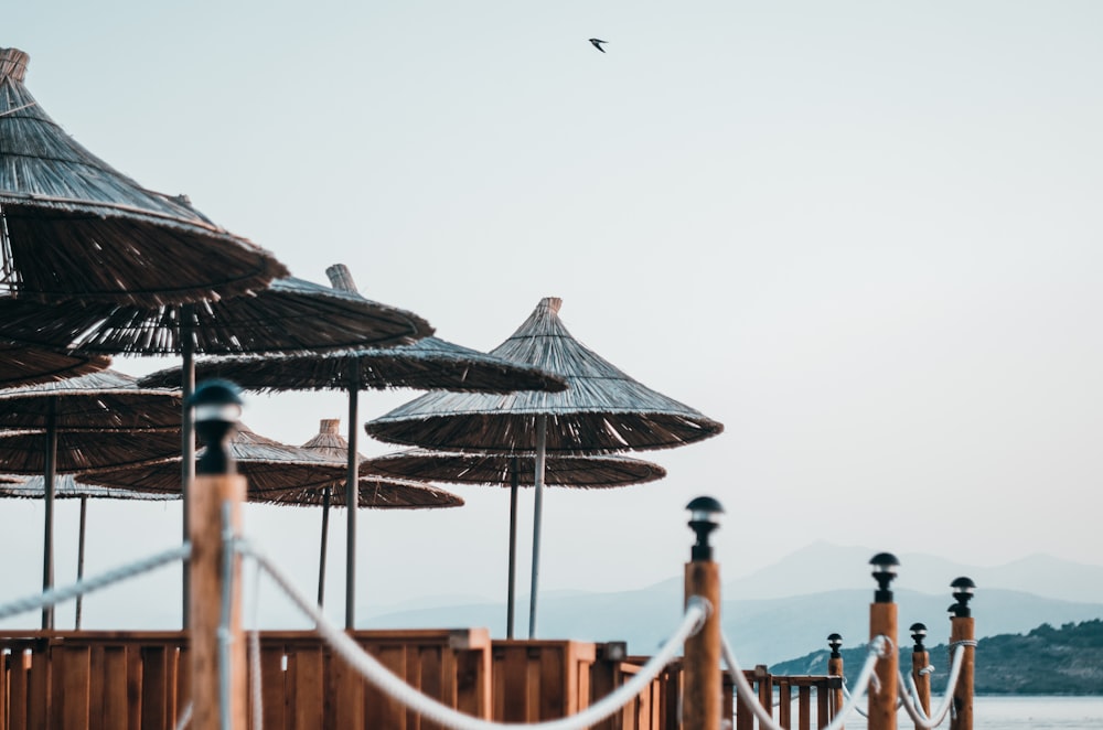 parasols near shore during daytime