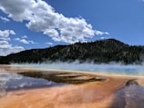 A vibrant hot spring with colorful mineral deposits and steaming water is set against a backdrop of evergreen forests and a blue sky filled with fluffy white clouds.