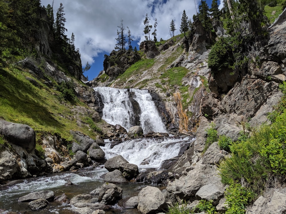 waterfall between pine trees at daytime