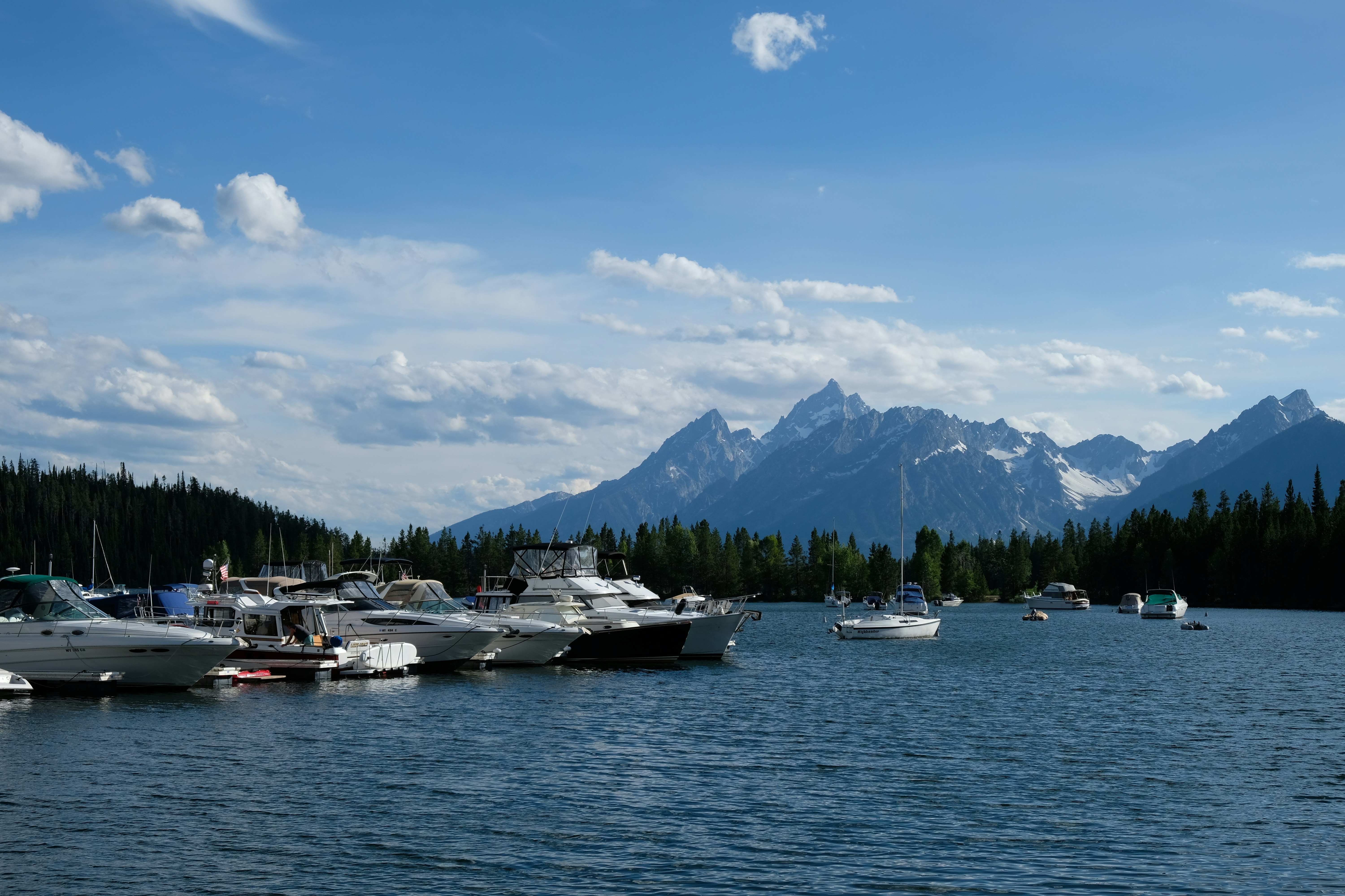 docked boats on water with pine trees at the distance united state teams background