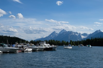 docked boats on water with pine trees at the distance united state teams background