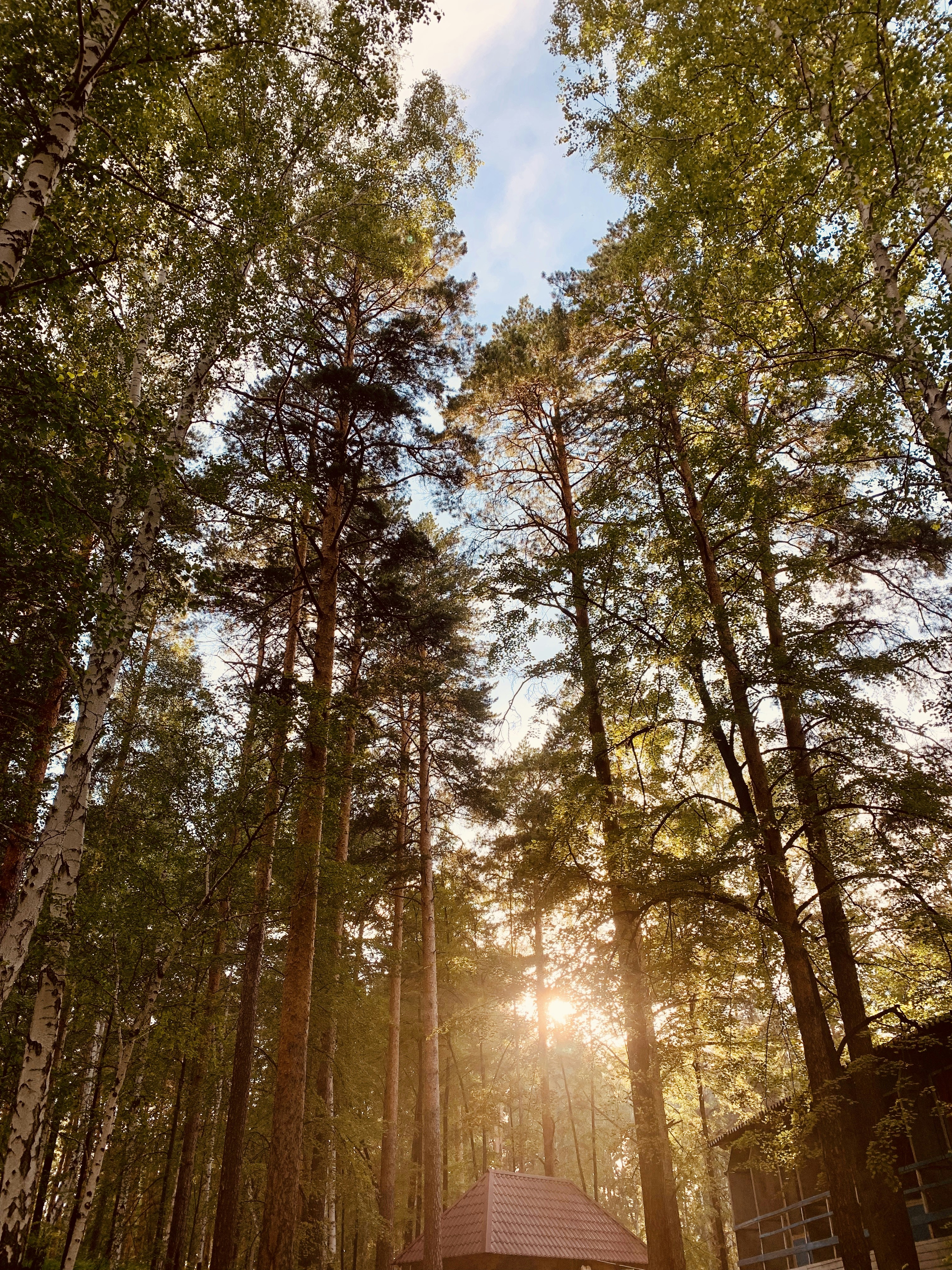 Photo by radmilamiheeva