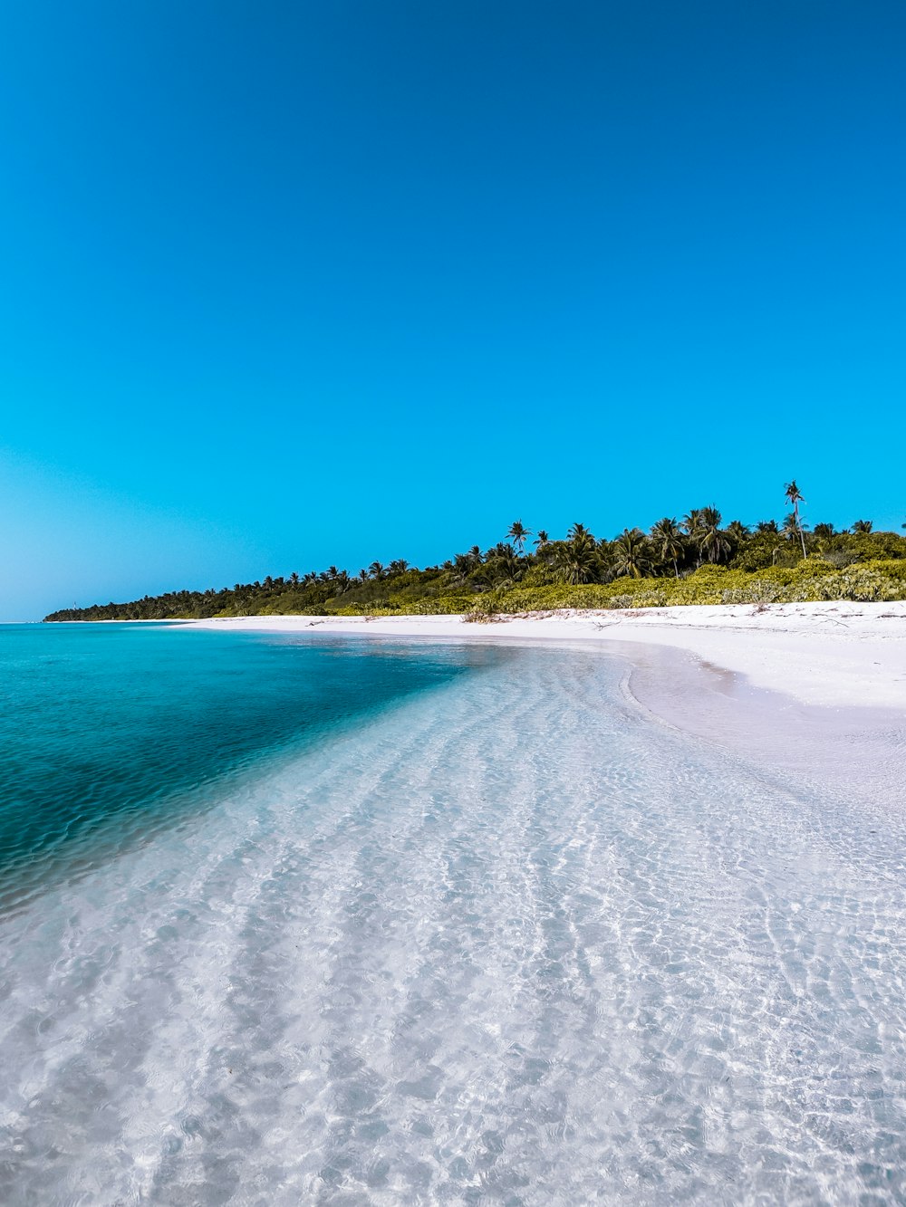 seashore during daytime