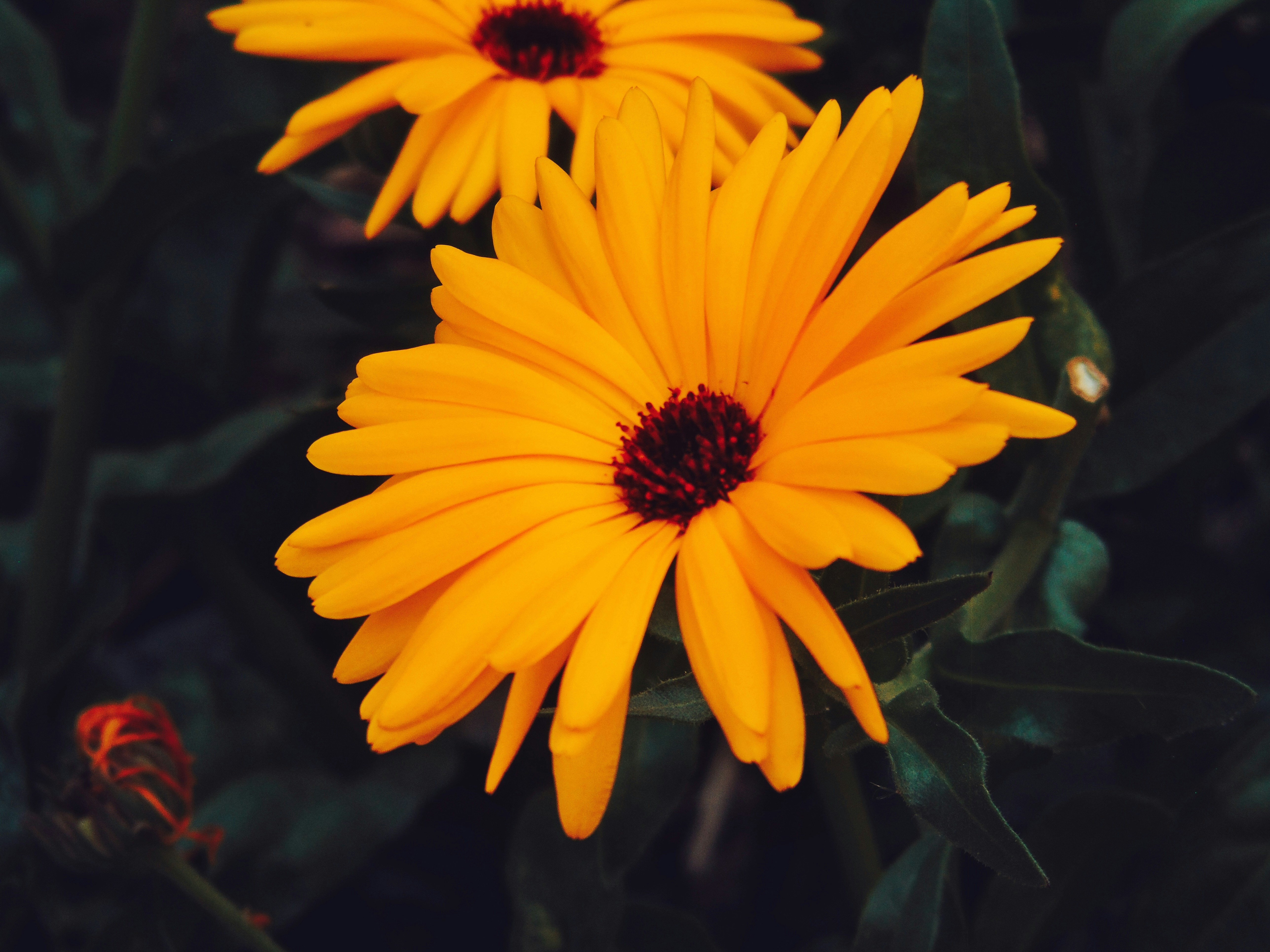 Photo by someghost95