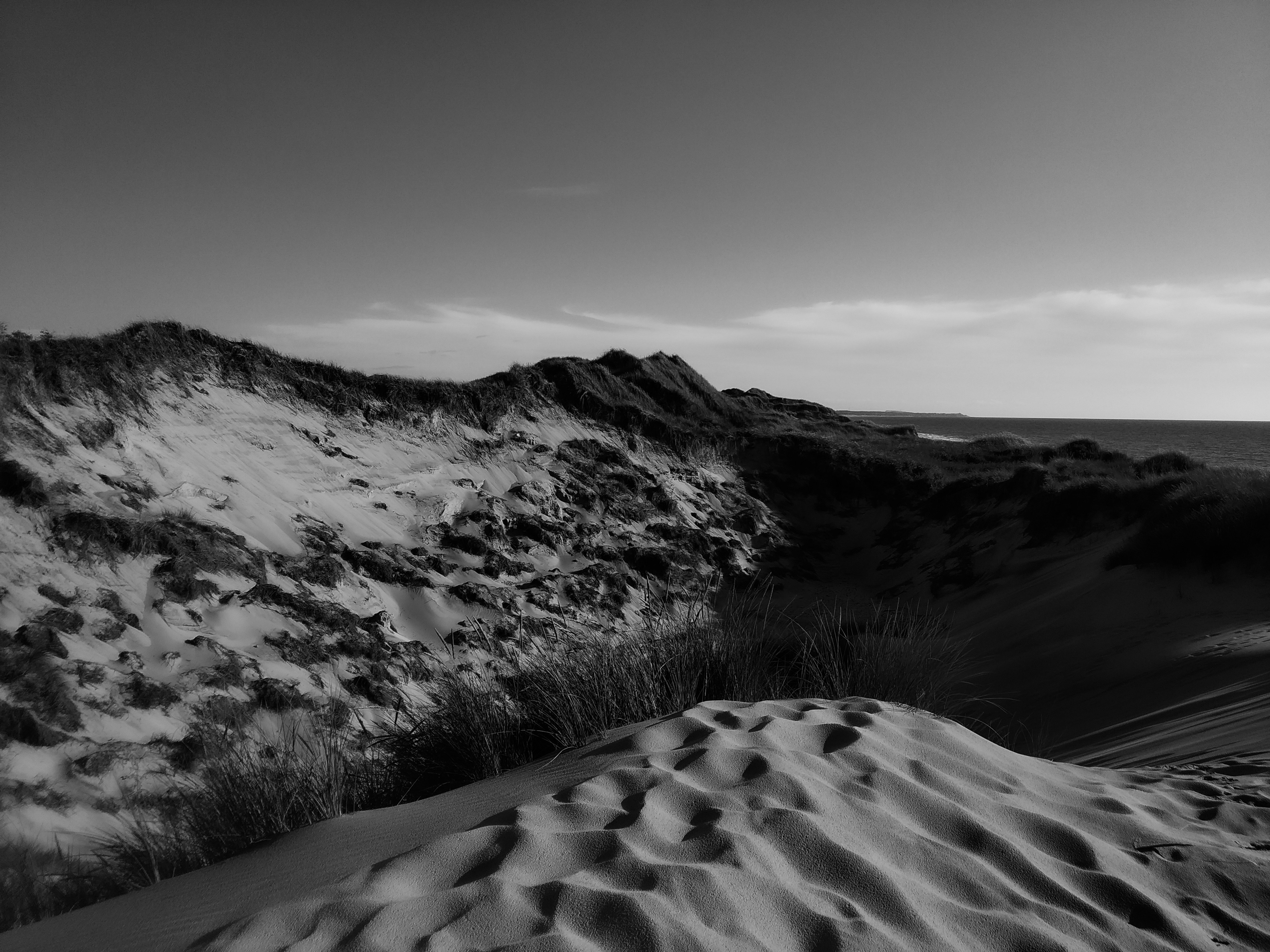 grayscale photo of sand dune