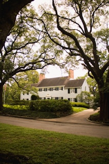 A large, two-story house with white siding and dark shutters is surrounded by lush trees and greenery. The house has chimneys and a neatly trimmed hedge at the front, with a curved driveway leading up to it. The scene is framed by large, overarching tree branches, giving a cozy, secluded feel.