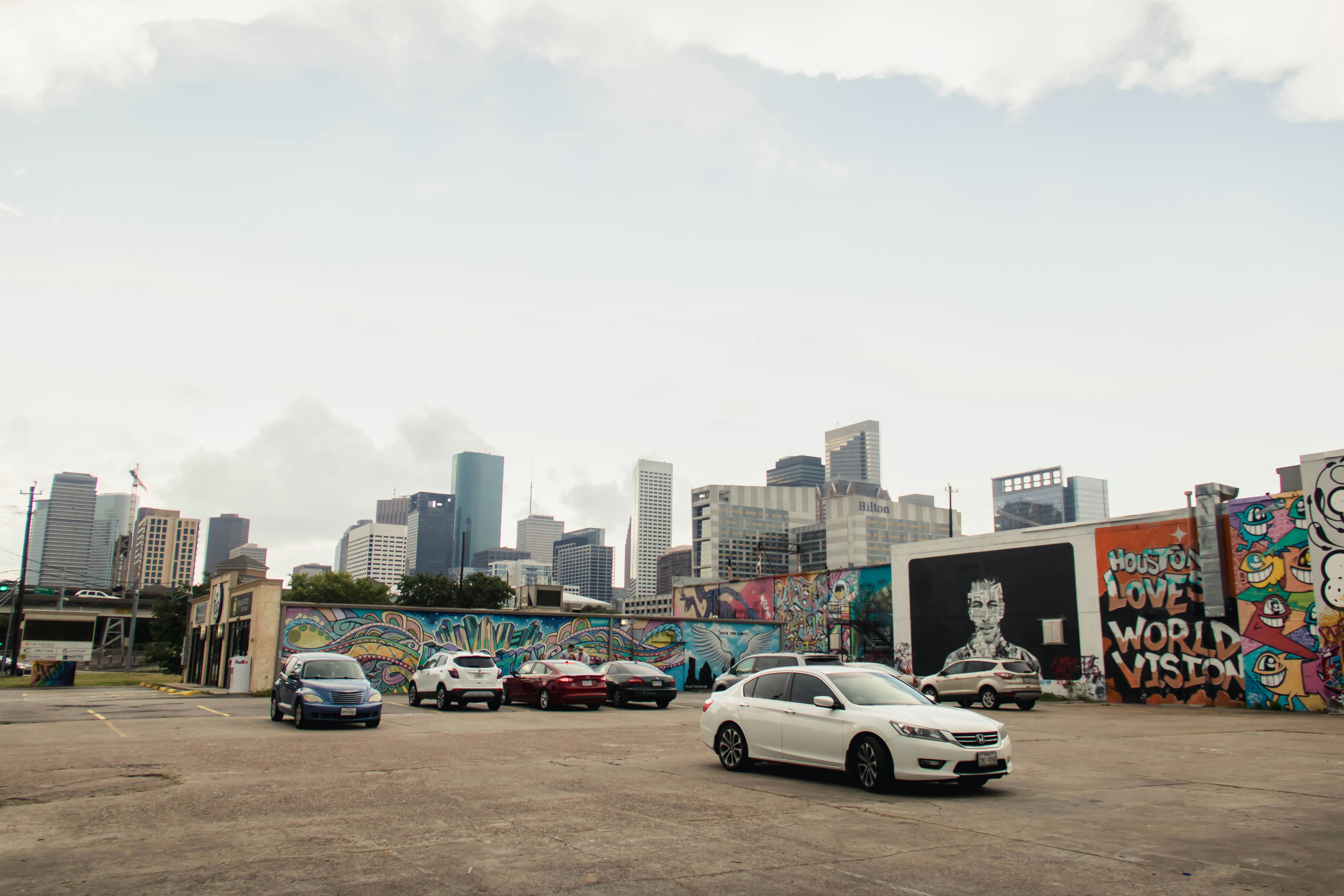 Row of electric cars lined up at a dealership lot