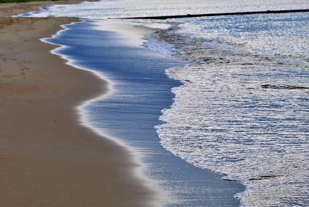 seashore during daytime