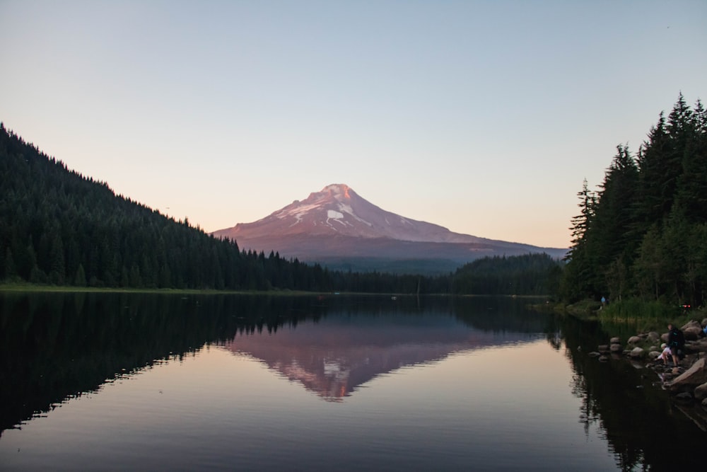 body of water between trees near mountain