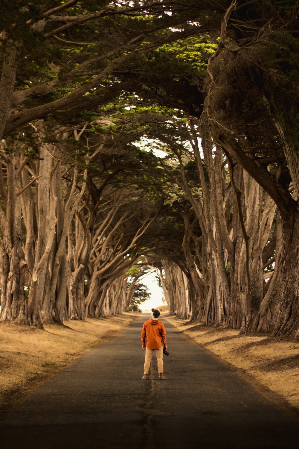 man standing at the center of road