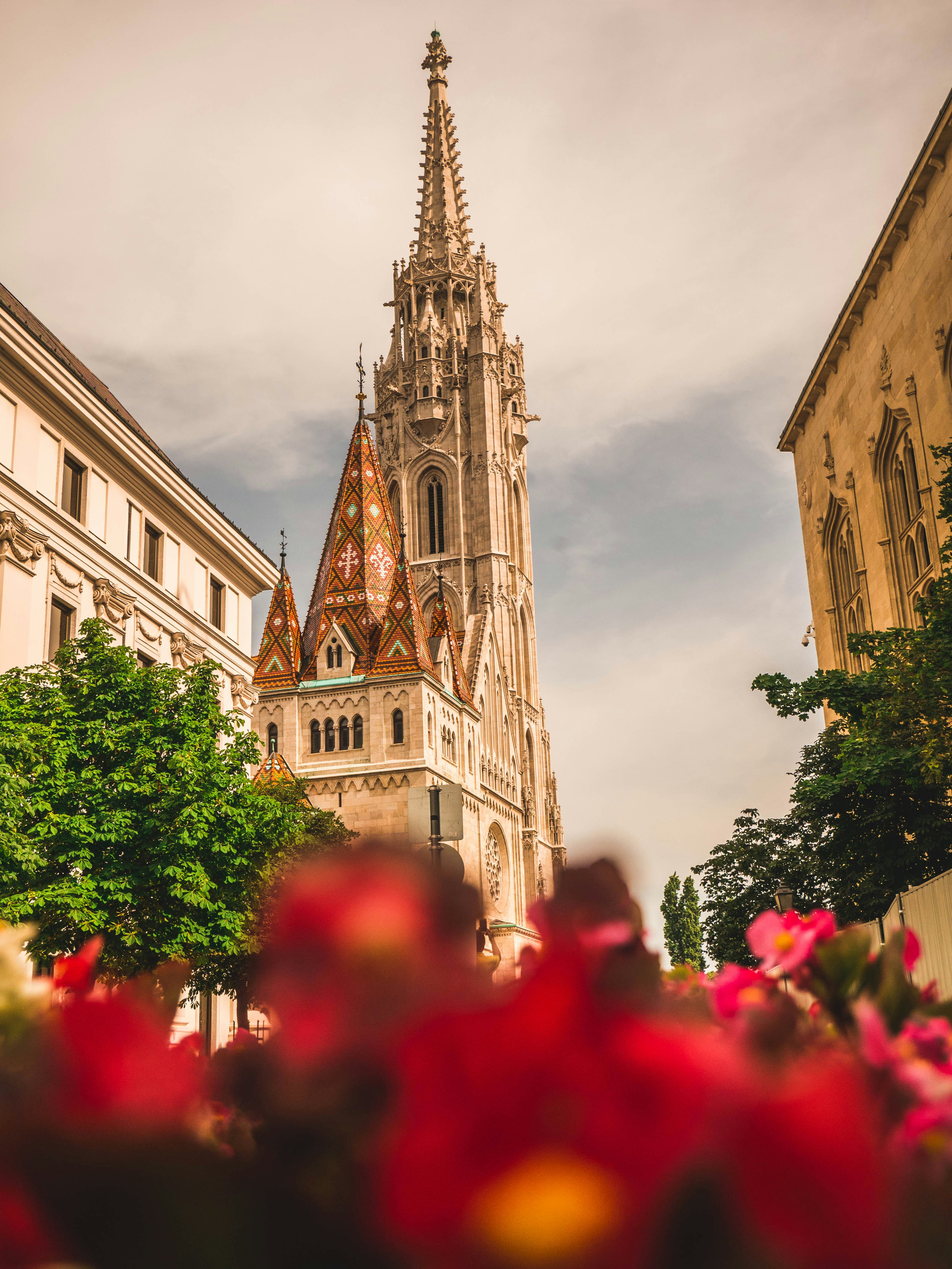 Photo by alexandernaglestad