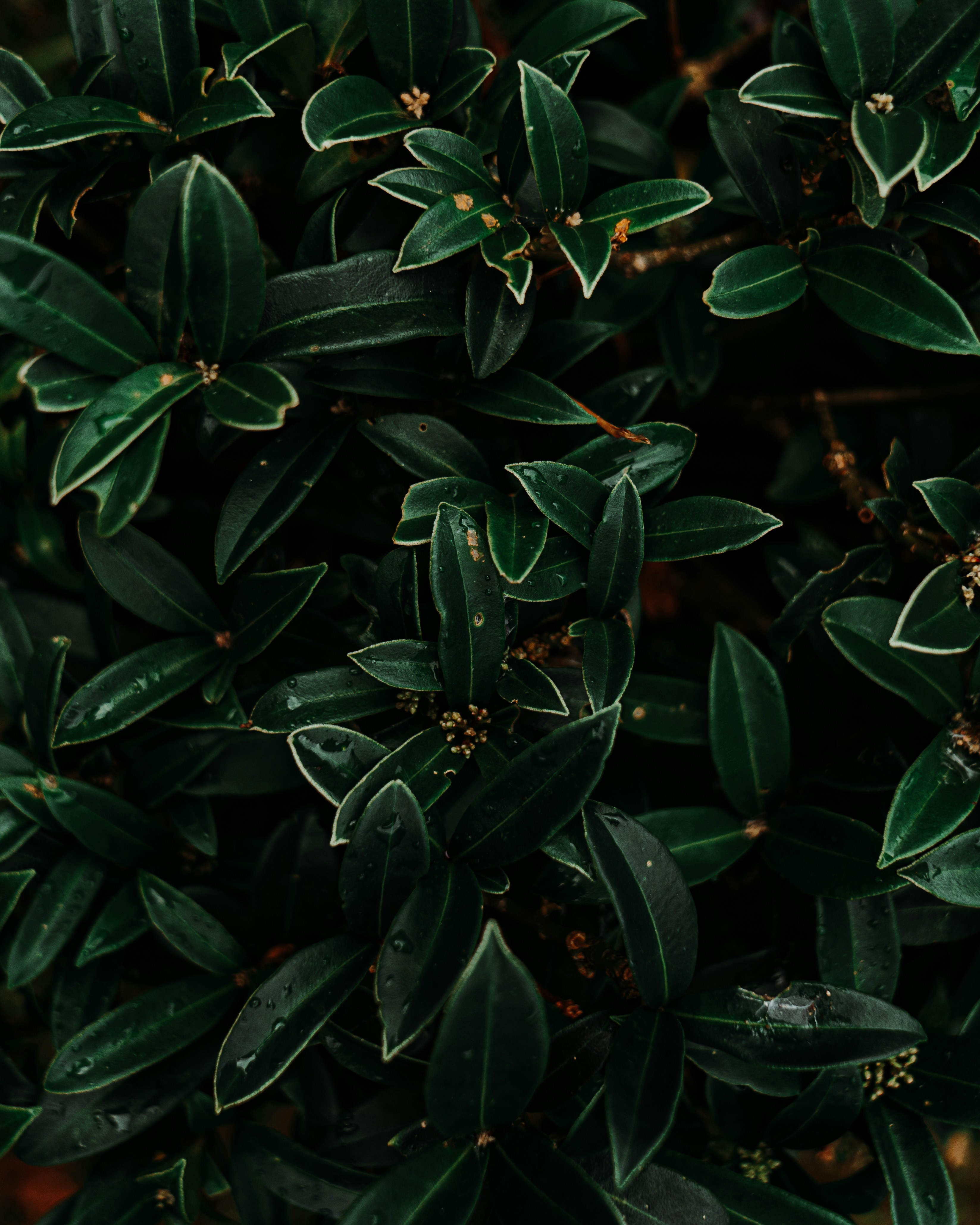 Photo by pixworthmedia