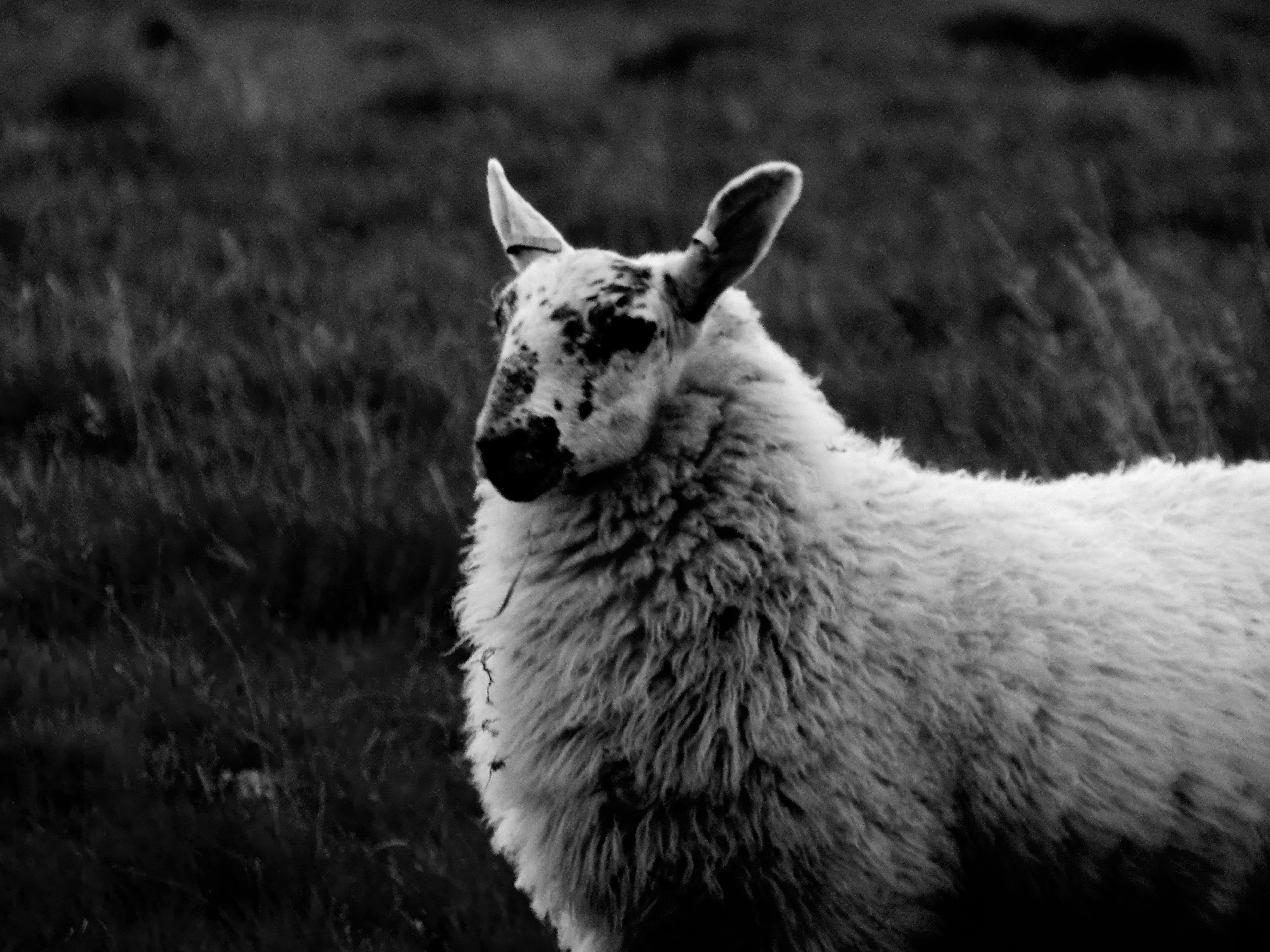 Photo by mbephotography