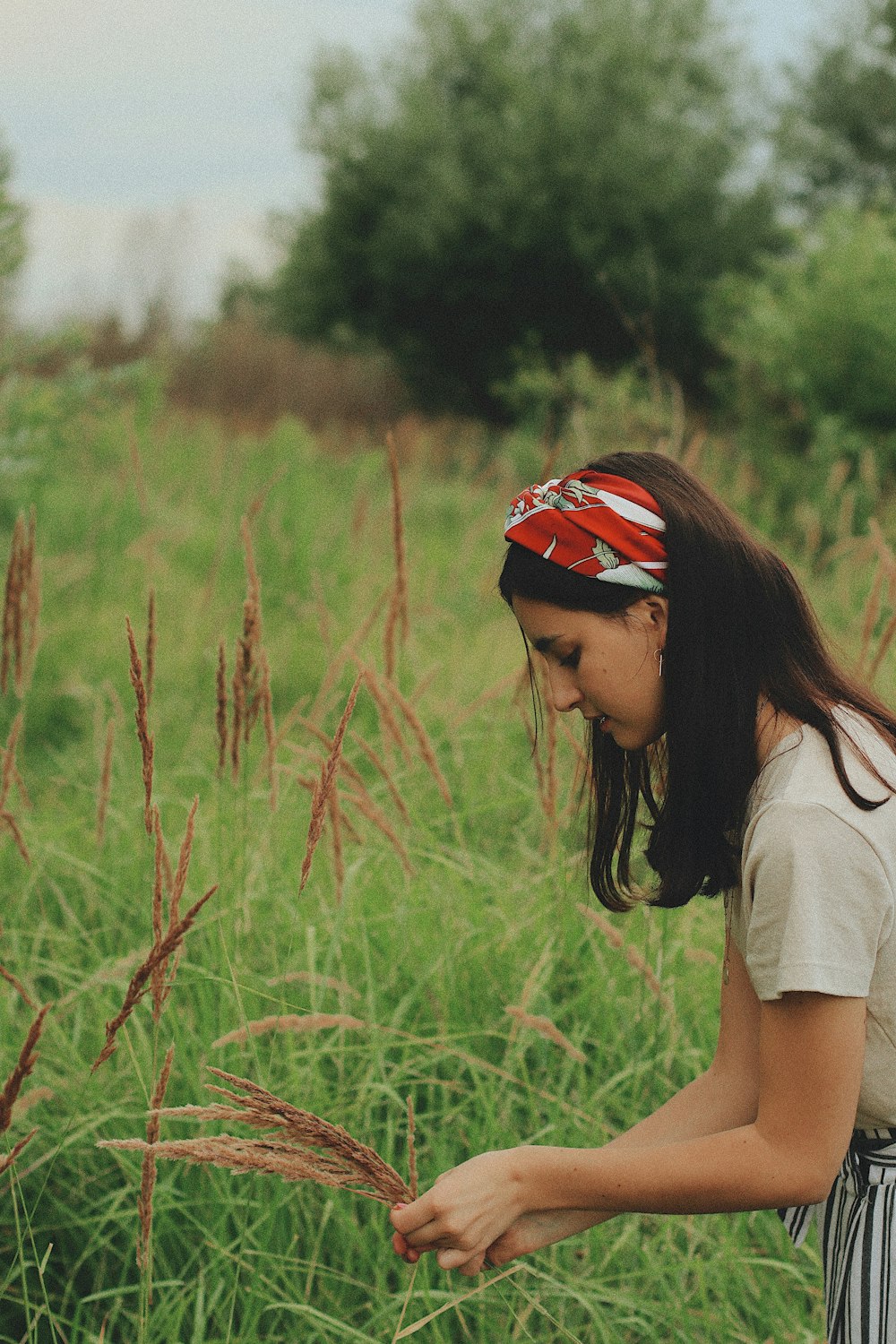 woman picking brown plant