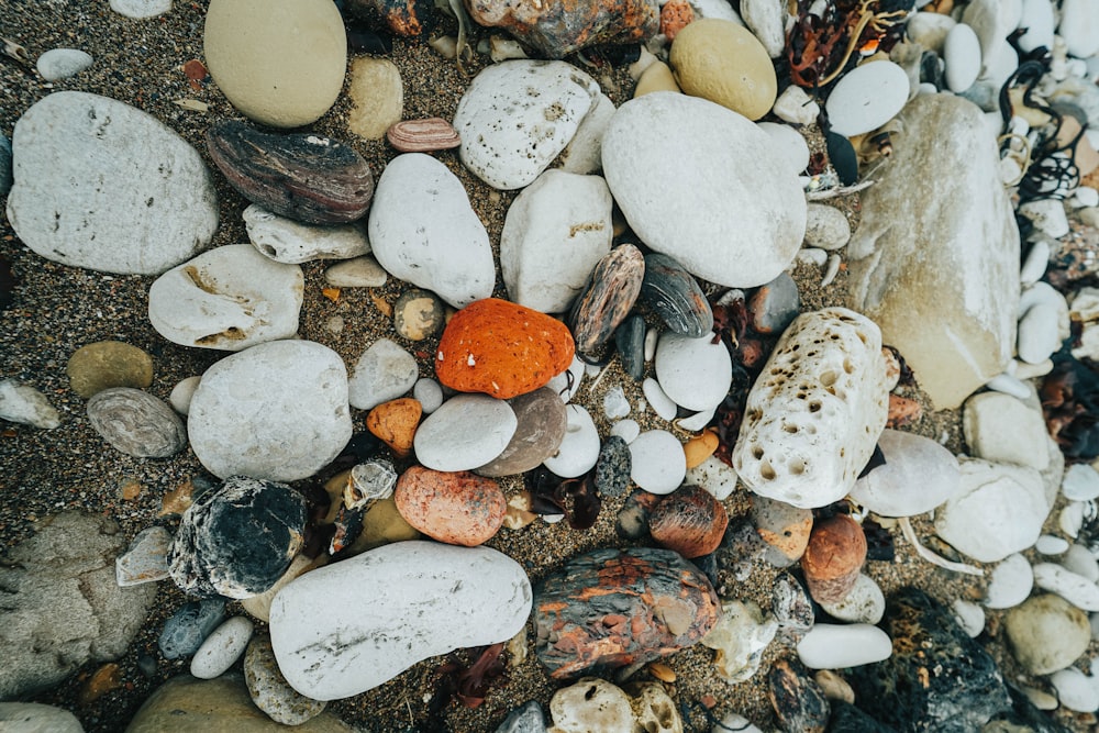 assorted-color stones