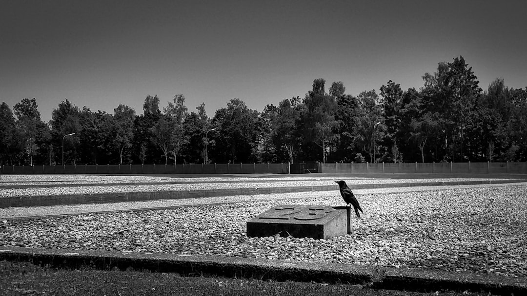 Crow on the site where it was the barrack 23 at the Dachau Concentration Camp. 