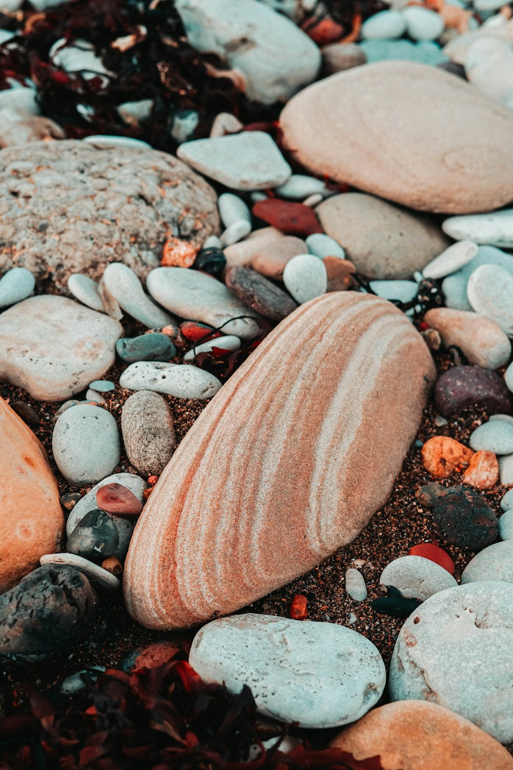 brown stone lot