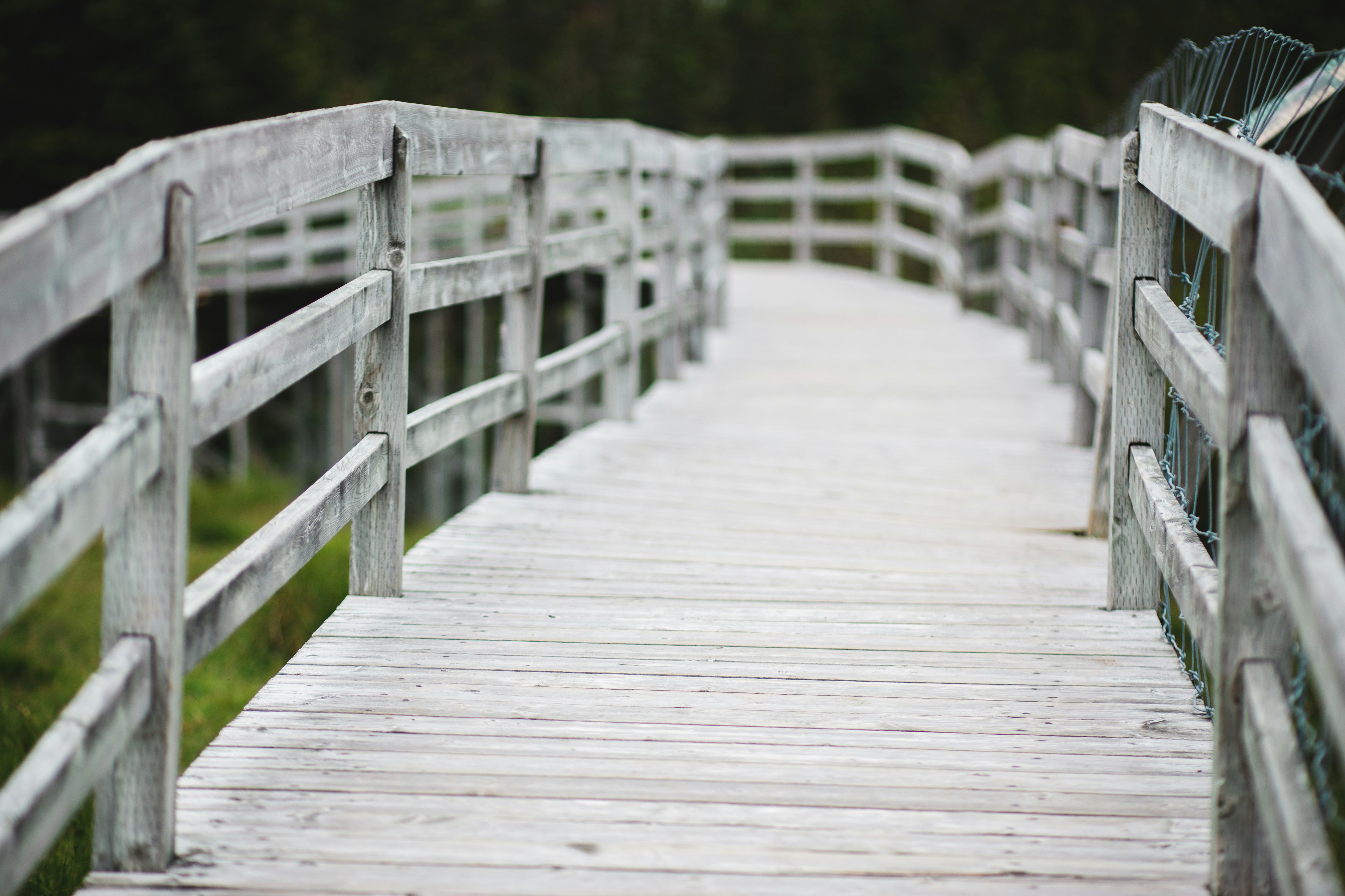 Photo by introspectivedsgn