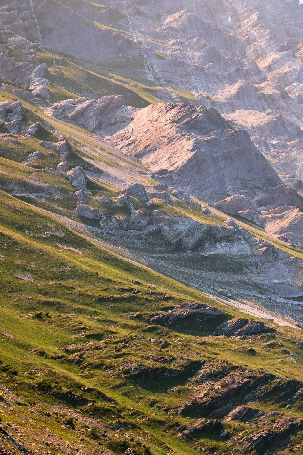 a couple of sheep standing on top of a lush green hillside